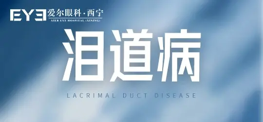 1-230204101K9621.png