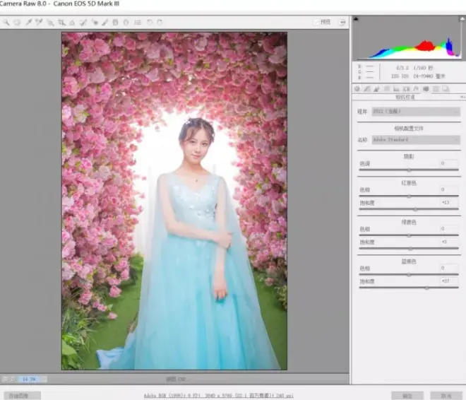 PS中制作粉色桃花婚紗人像(6)