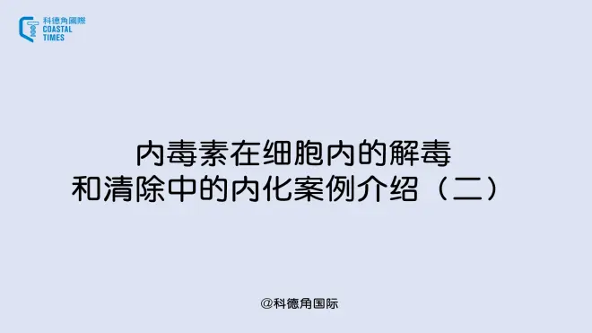内毒素在细胞内的解毒和清除中的内化案例介绍(二)
