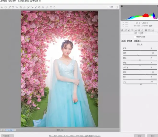 PS中制作粉色桃花婚紗人像(4)