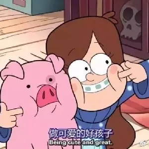 老谭的酸菜牛肉面啊